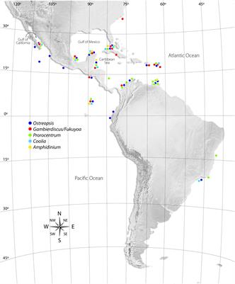 A Review on the Biodiversity and Biogeography of Toxigenic Benthic Marine Dinoflagellates of the Coasts of Latin America